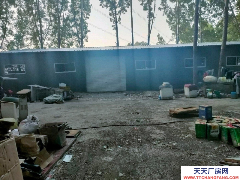 保定 雄縣 本房面議面積小面議可以談