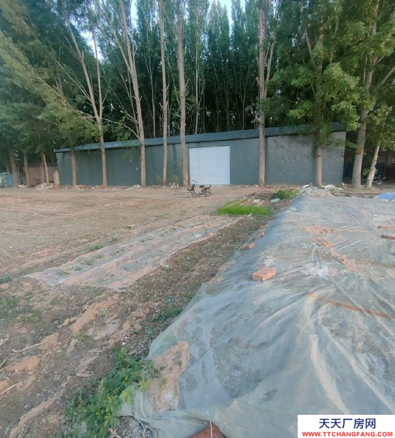 保定 雄縣 本房面議面積小面議可以談