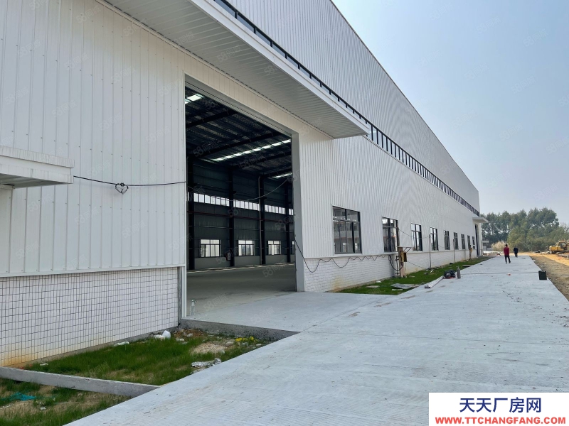 (出租) 佛山三水區西南河口獨門獨院廠房出租滴水12米可架20噸航車