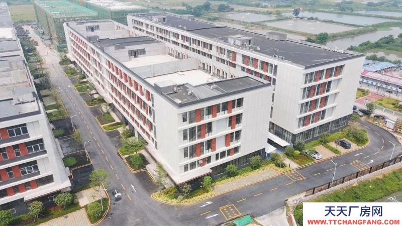 (出售) 佛山三水白坭2000平小獨(dú)棟全新廠房出售 50年產(chǎn)權(quán) 首付3成