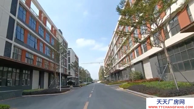 (出售) 佛山三水白坭2000平小獨(dú)棟全新廠房出售 50年產(chǎn)權(quán) 首付3成