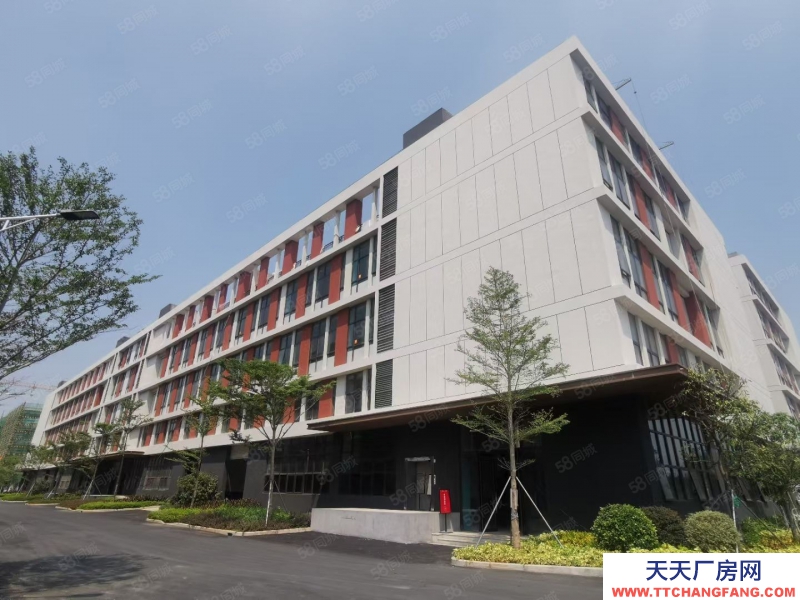 (出售) 佛山三水白坭2000平小獨(dú)棟全新廠房出售 50年產(chǎn)權(quán) 首付3成