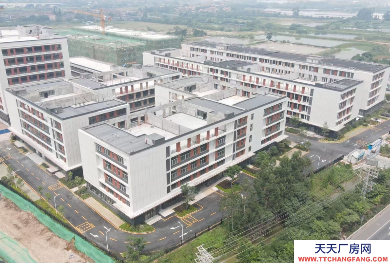 (出售) 佛山三水全新現樓標準廠房，可八成貸款，經桂丹路直走可到禪城桂城地鐵站