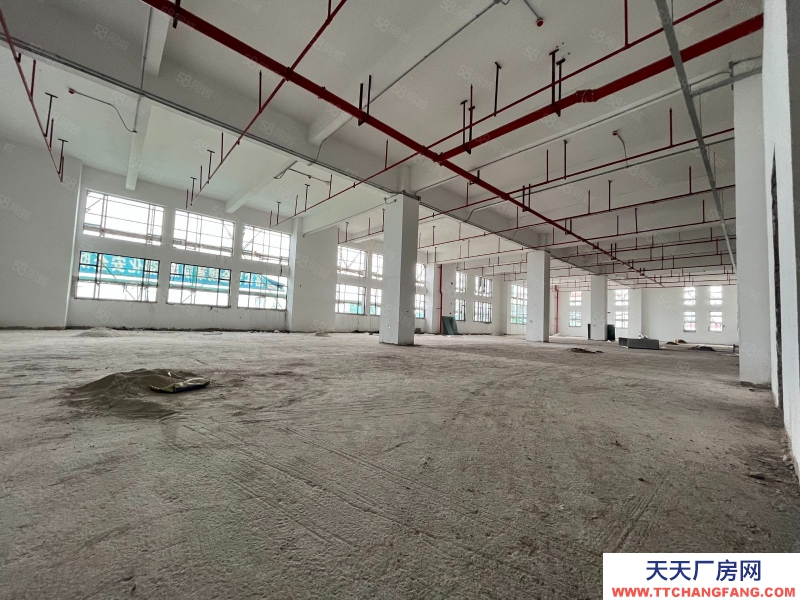 (出售) 佛山三水現樓廠房！毗鄰白云花都，無稅收要求，可個人名義購買！