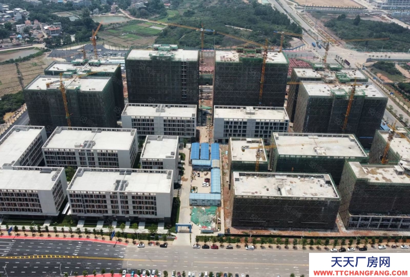 (出售) 佛山三水云東海 全新廠房可獨(dú)棟可分出售 50年產(chǎn)權(quán)紅本