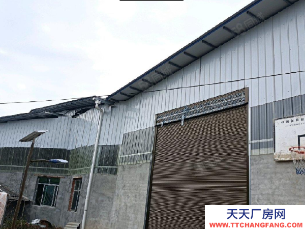 株洲市蘆淞區(qū)可進(jìn)9.6米車(chē)向金塘房東急租自建標(biāo)準(zhǔn)廠房倉(cāng)庫(kù)優(yōu)價(jià)出租