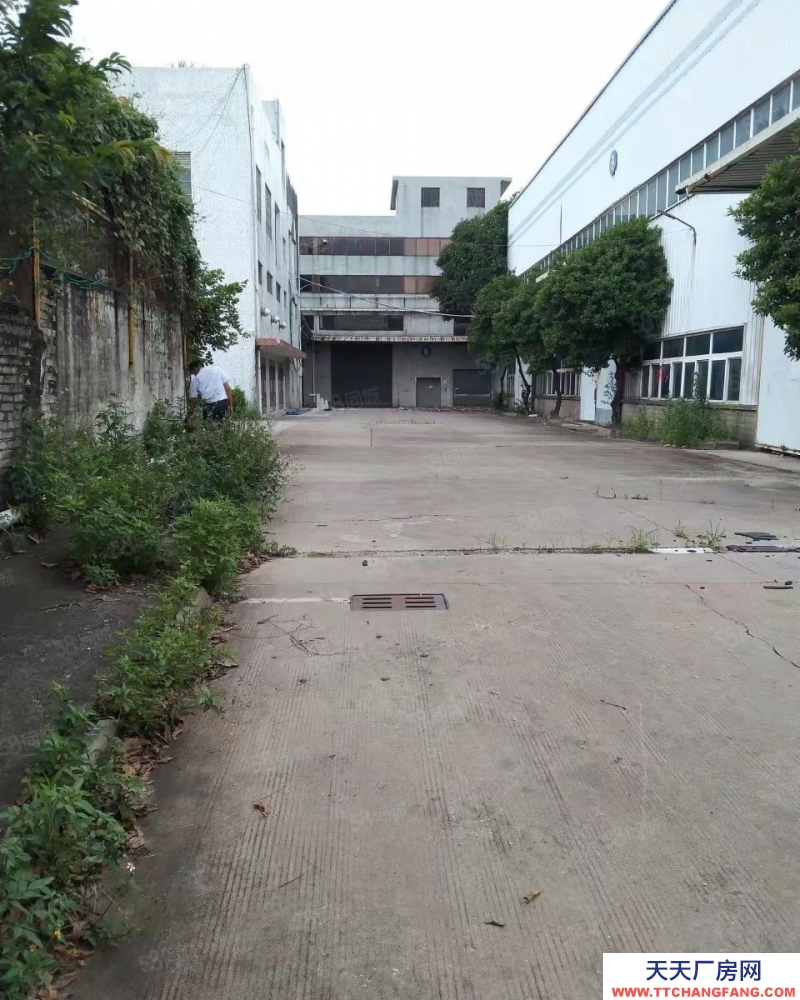 (出租) 佛山順德大車隨意進(jìn) 陳村標(biāo)準(zhǔn)和鋼構(gòu)40000方位置好配電大好招工