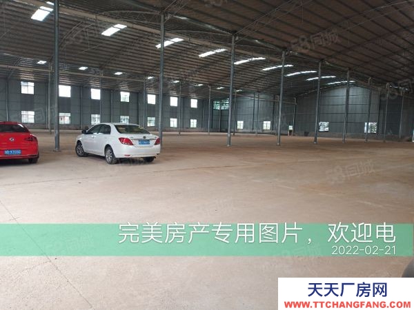 株洲市蘆淞區新建倉庫和廠房優價出租