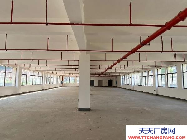 (出售) 層高4.5米，水電入層，承重400/平方。