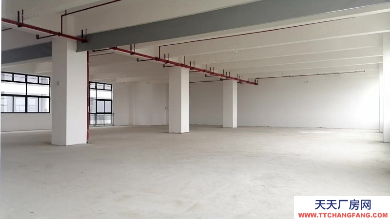 (出售) 佛山順德首付二成貸款十年均安臨港工業(yè)區(qū)紅本現(xiàn)房600平起售高8米