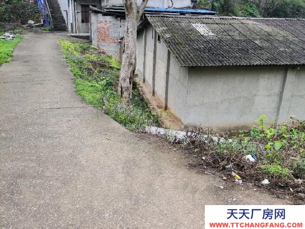 株洲市蘆淞區可整租也可分租，長租更優惠