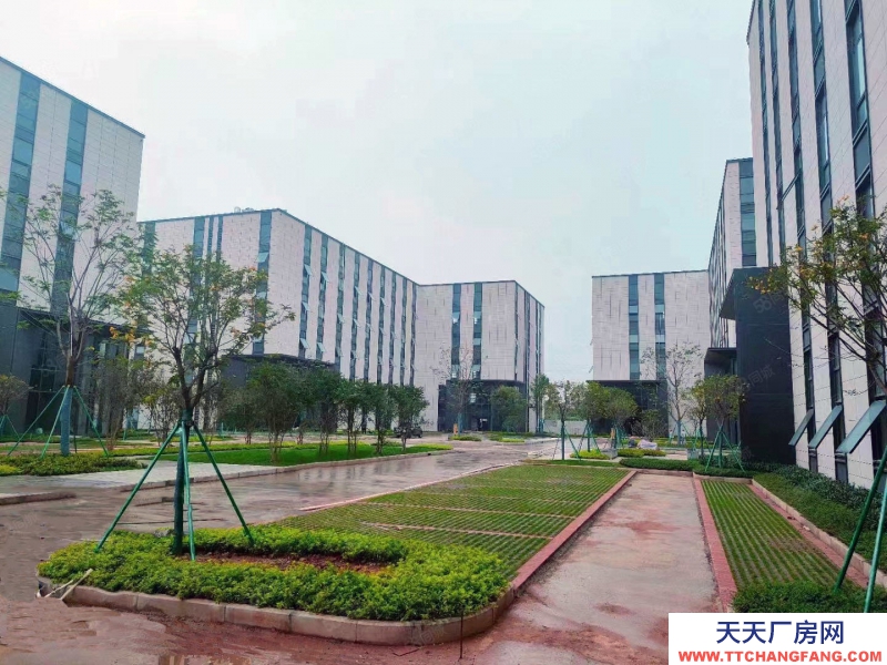 (出售) 佛山南海西樵3.5層小獨棟廠房 樓頂送400平露天可做花園