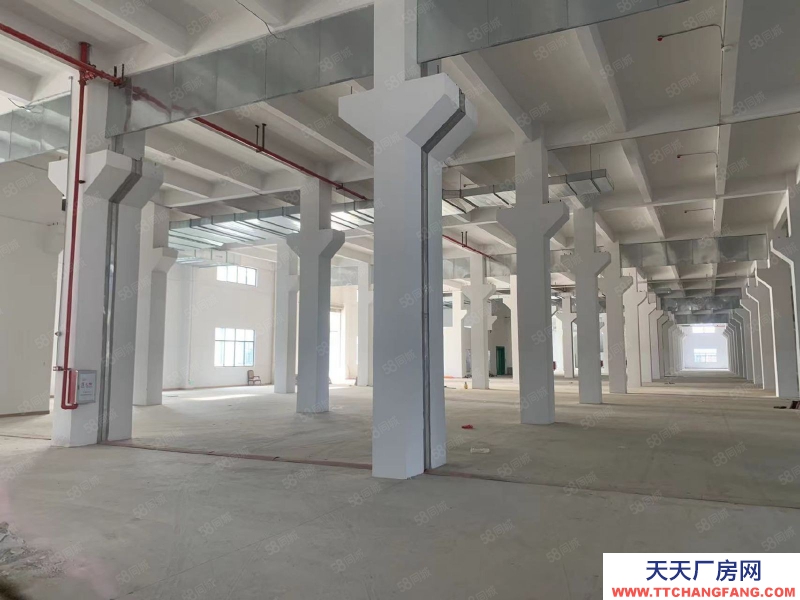 (出租) 佛山南海區(qū)里水工業(yè)區(qū)5萬平方標準廠房倉庫出租可辦環(huán)評