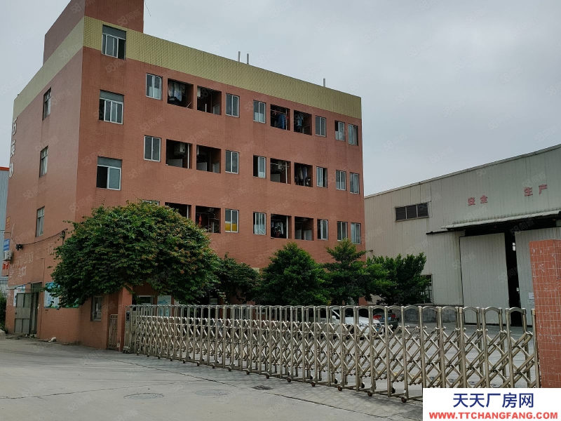 (出租) 佛山南海丹灶低價廠房出租或轉(zhuǎn)讓