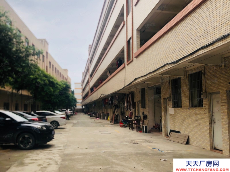 (出租) 佛山禪城20萬方工業園業主直租,廠房倉庫都可