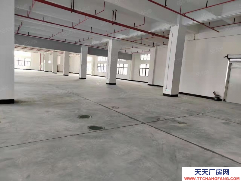 (出租) 佛山禪城張槎7000方布匹毛絨紡織廠房倉庫出租可分租位置好帶證件