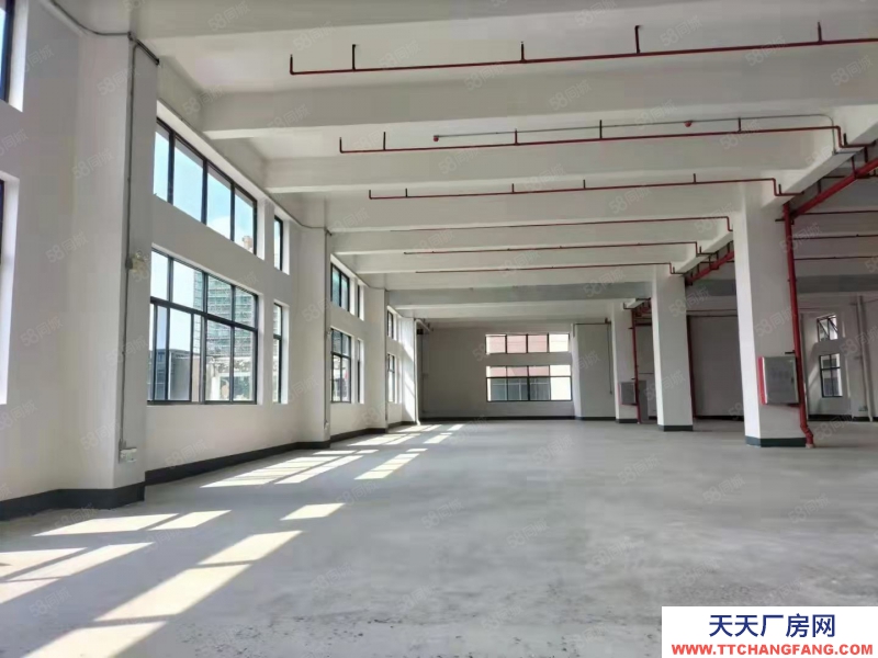 (出租) 佛山禪城張槎7000方布匹毛絨紡織廠房倉庫出租可分租位置好帶證件