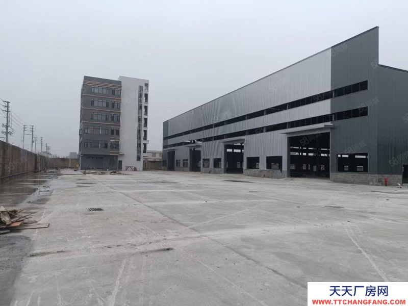 (出租) 佛山禪城南莊梧村工業區全新單一層鋼構廠房出租滴水11米帶牛腿