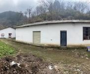 (出租) 黃岡羅田在河鋪鎮白鶴灣村（自家建的）