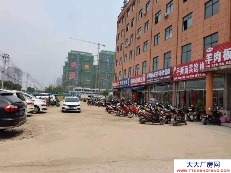 (出售) 阜陽潁東渦陽北路598號,地址城效中學(xué)對面路東