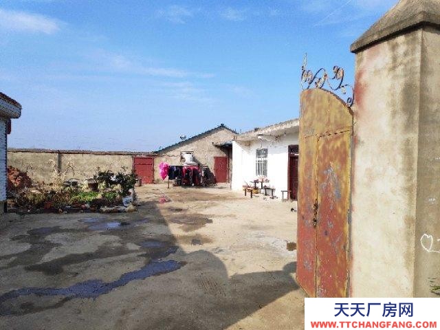 (出售) 阜陽潁上養殖場，可以做廠房。三相電養殖用電，電價便宜，路好