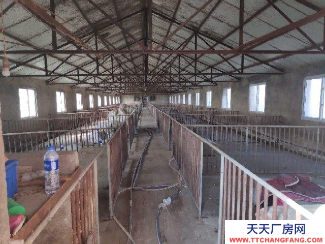 (出售) 阜陽(yáng)潁上養(yǎng)殖場(chǎng)，可以做廠房。三相電養(yǎng)殖用電，電價(jià)便宜，路好