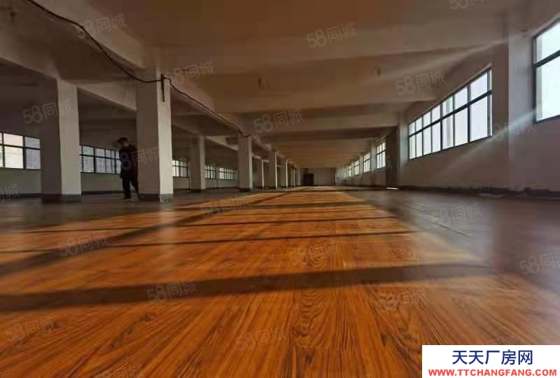 (出租) 阜陽潁泉個人出租皖西北商貿城生態園附近,一層850平米廠房倉庫