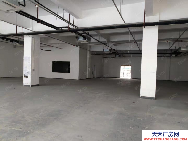 (出租)阜陽潁泉 2001000平的大通道廠房 可進大車