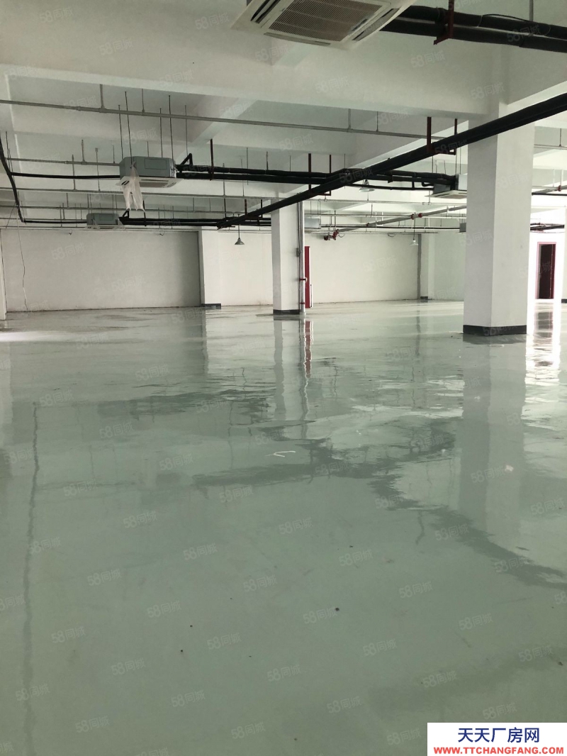 (出租) 阜陽潁泉政府產權園區2000平廠房出租