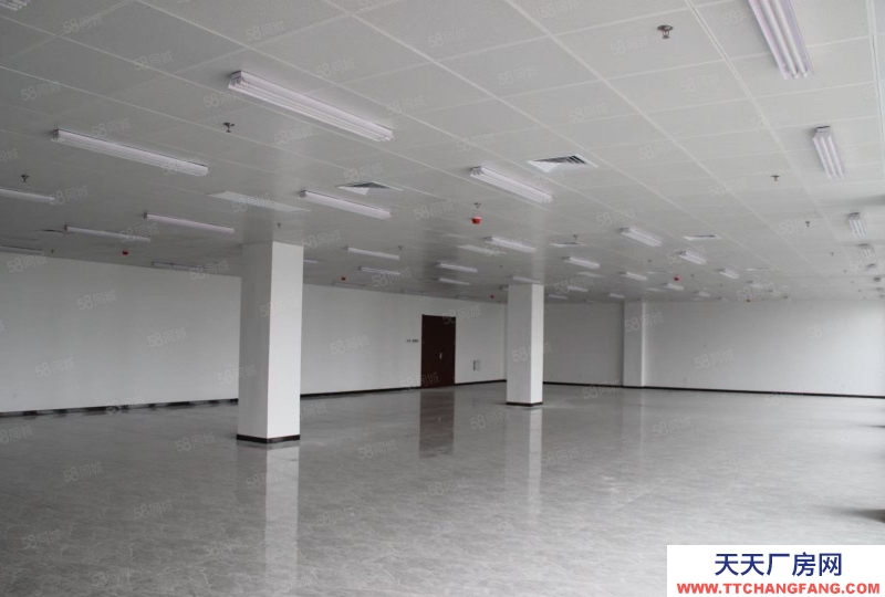 (出租)阜陽太和 政府產權電商園區場地招商