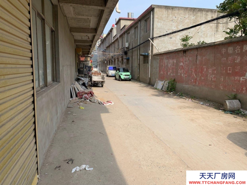 (出租) 阜陽太和長期出租、三相電、框架結構、