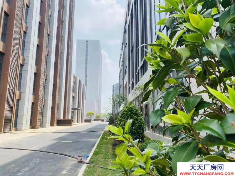 (出租) 阜陽太和產業園精裝辦公室，廠房，大通庫