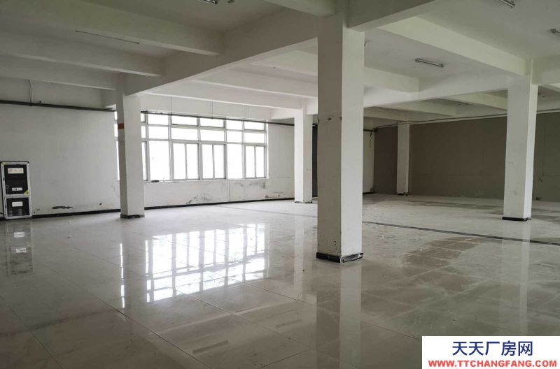 (出租) 阜陽潁上經濟開發區1樓廠房