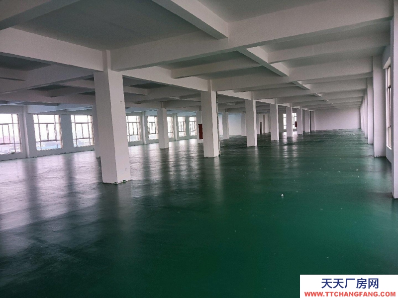 (出租)阜陽(yáng)臨泉五六層對(duì)外出租,可當(dāng)倉(cāng)庫(kù),廠房;培訓(xùn)機(jī)構(gòu);寫(xiě)字樓