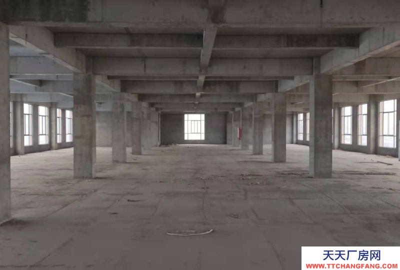 (出租)阜陽臨泉五六層對外出租，可當倉庫，廠房；培訓機構；寫字樓