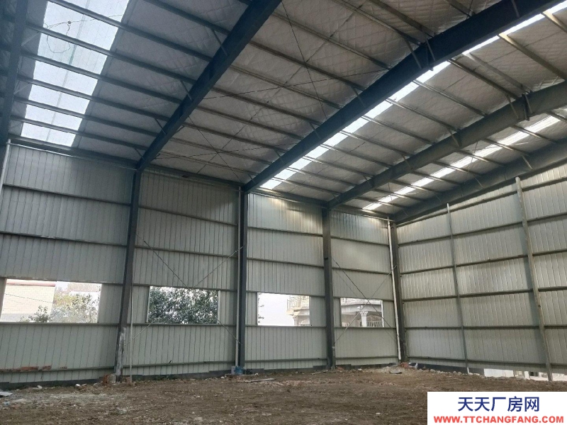 (出租) 阜陽臨泉新建廠房，在050縣道邊上