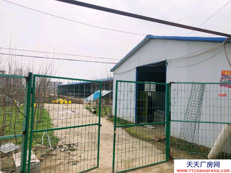 (出租) 阜陽臨泉價(jià)格面議,廠房倉庫養(yǎng)殖均可