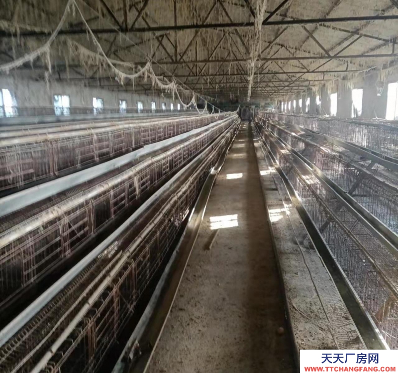 (出租)阜陽界首 個人房源，做養殖，小廠房都很合適，出路好