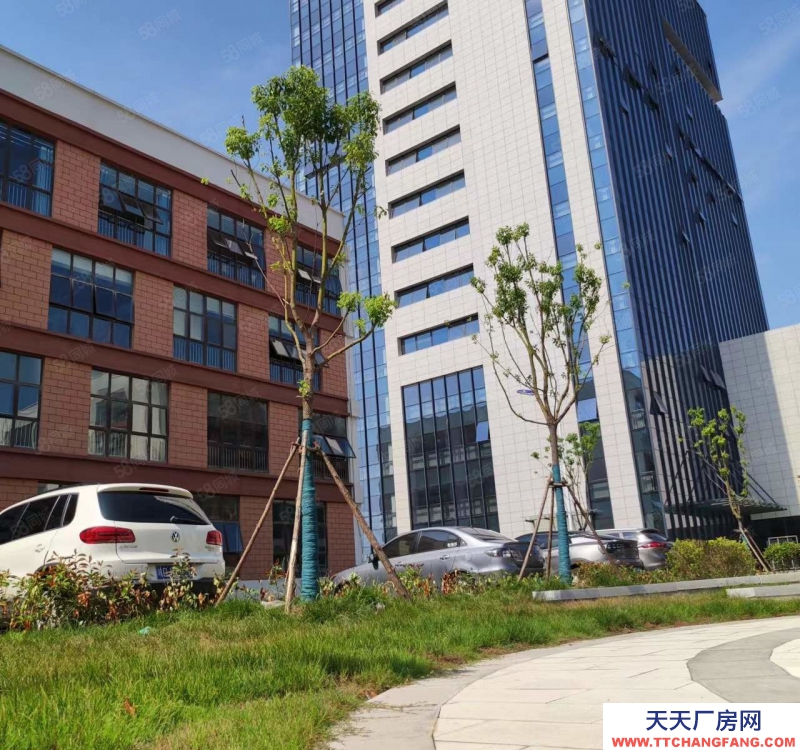 (出租) 淮南田家庵政府產(chǎn)權(quán)500方職場直租，政策優(yōu)，租金底，配套齊全，離市區(qū)近