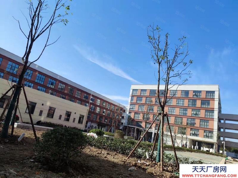 (出租) 淮南田家庵政府產(chǎn)權(quán)500方職場直租，政策優(yōu)，租金底，配套齊全，離市區(qū)近