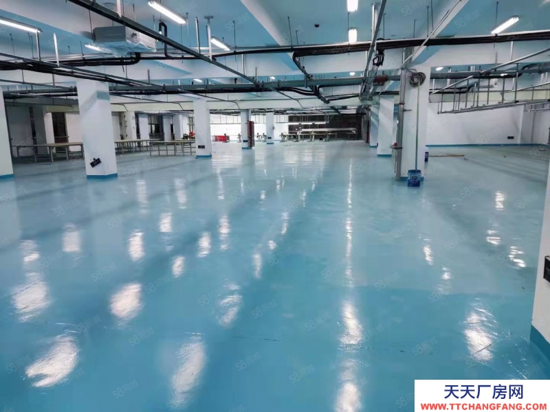 (出租) 淮南田家庵大面積廠房，400到2000方可提供辦公，政策優越，環境好