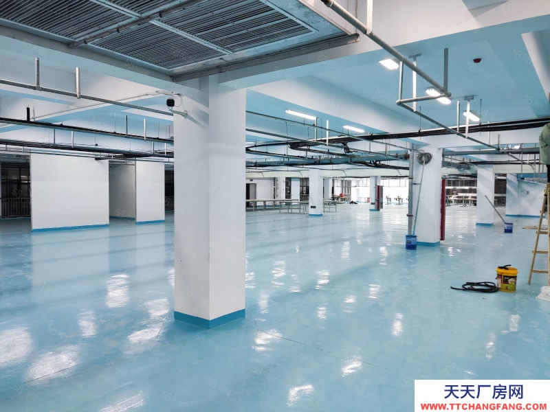 (出租) 淮南田家庵價格便宜包滿意 2000以內廠房 倉儲隨便挑都可以