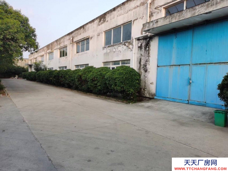 (出租) 淮南大通孔店鄉歡燈村村部無人干擾廠房