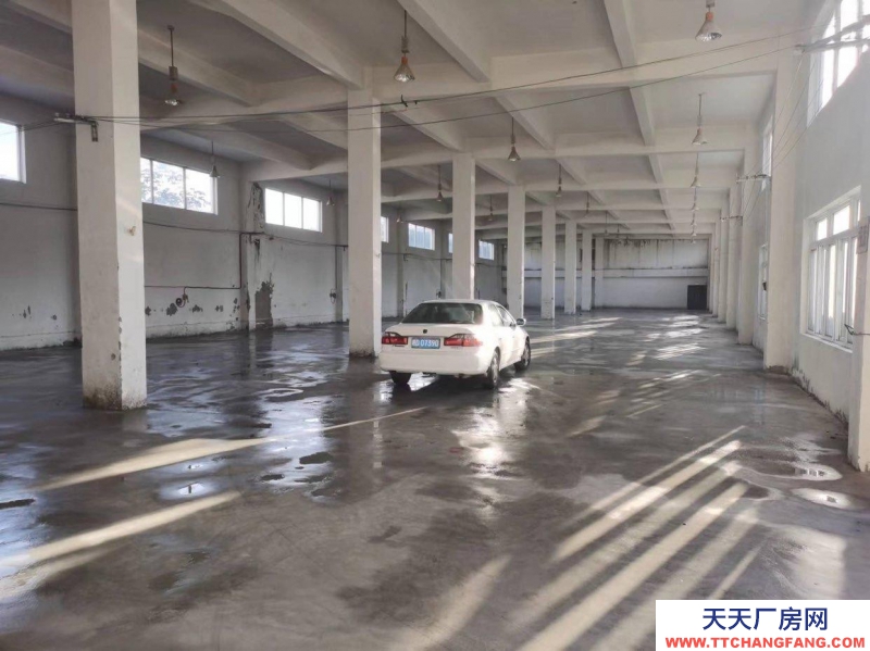 (出租) 淮南大通孔店鄉歡燈村村部無人干擾廠房