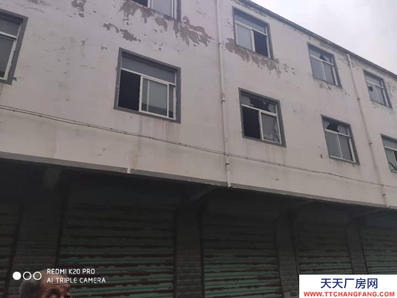 (出租) 淮南鳳臺顧橋礦彩虹橋對面桂集黃廟村廠房辦公住宅1800平方出租