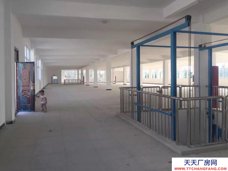 (出租) 淮南鳳臺十里橋新區(qū) 廠房 3400平米