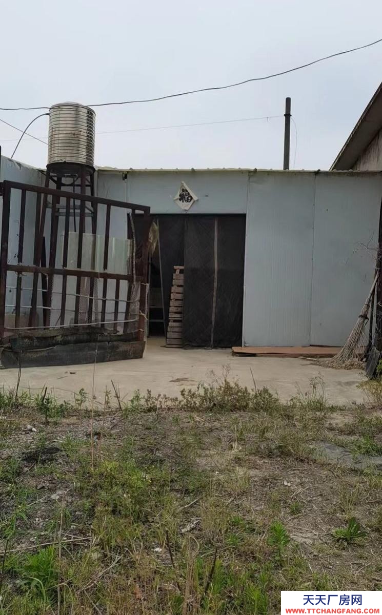 (出租)淮南謝家集 三相電、周邊無住家，適合辦小廠。4間平房+150方大棚