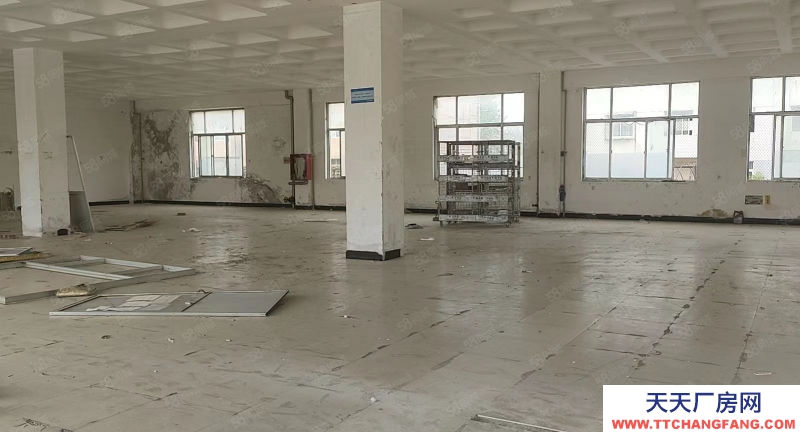 萊山 出租！杰瑞南，交通便利，適合機械加工！