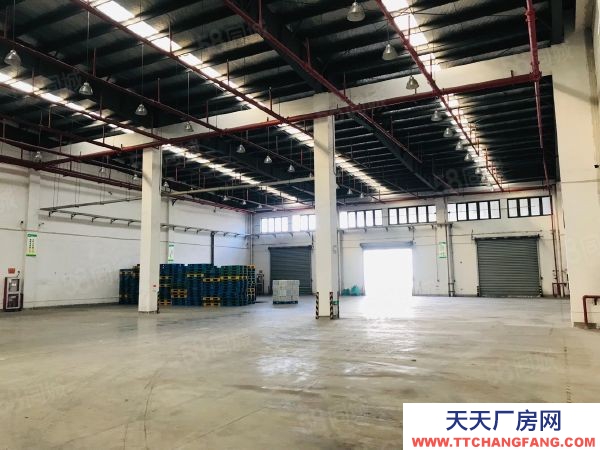 蘇州市相城區新出2000平方標準物流倉庫出租,大車好周轉,車輛進出方便