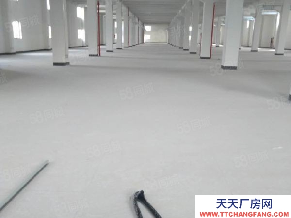 蘇州市吳中區(qū) 橫涇 獨(dú)棟 3600方 全新廠房